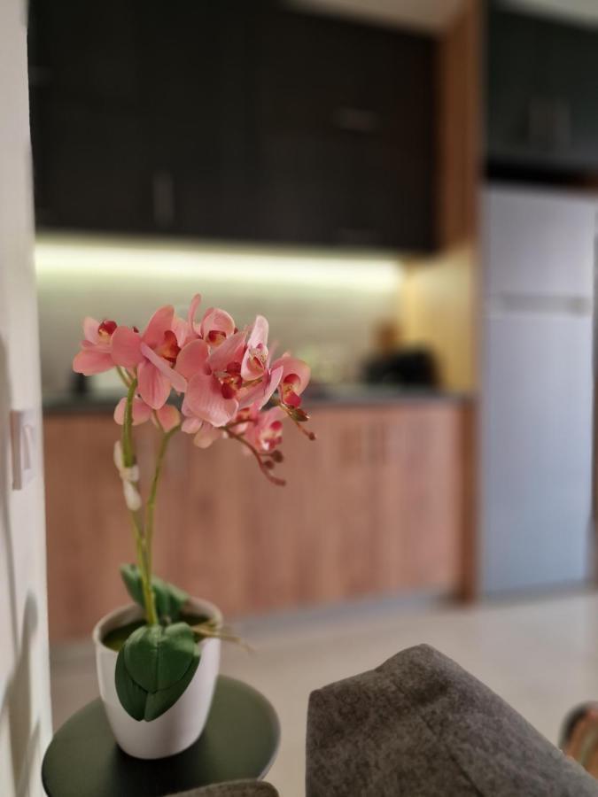 S N G/ Best View Apartment Kíssamos Dış mekan fotoğraf